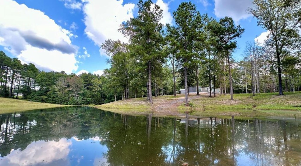 Luxury Living: The Most Expensive Properties In American&nbsp;Markets